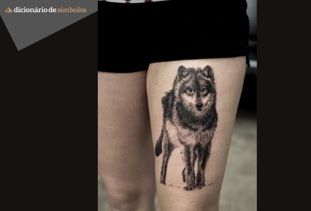 Tatuagem De Lobo Significados E Locais Do Corpo Para Tatuar