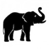 Elefante: significado espiritual e simbologia