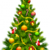 Significado e Simbologia da Árvore de Natal (Pinheiro de Natal)