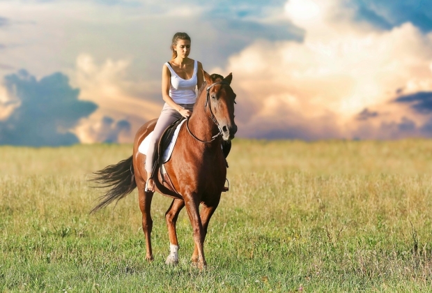 Significado do Cavalo: Simbologia Espiritual e Mística 🐎